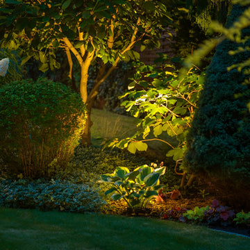 LED Flood Light, Knuckle Mount, Dusk to Dawn Photocell, 27W/20W/15W/11W, Selectable Wattage & CCT, 3600 Lumens